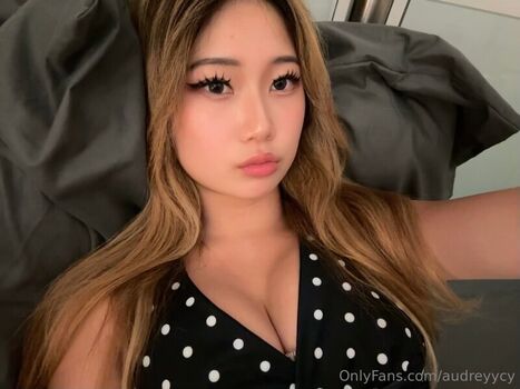audreyycy