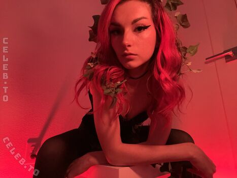 Busy B ASMR