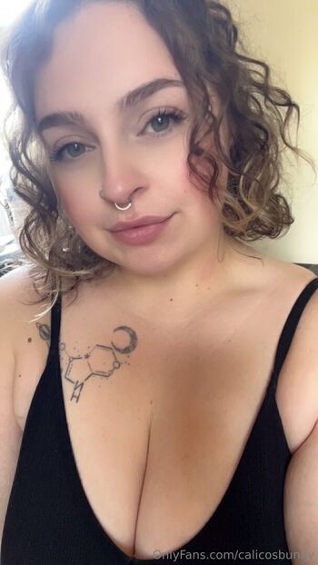 calicosbunny