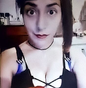 camiisalta