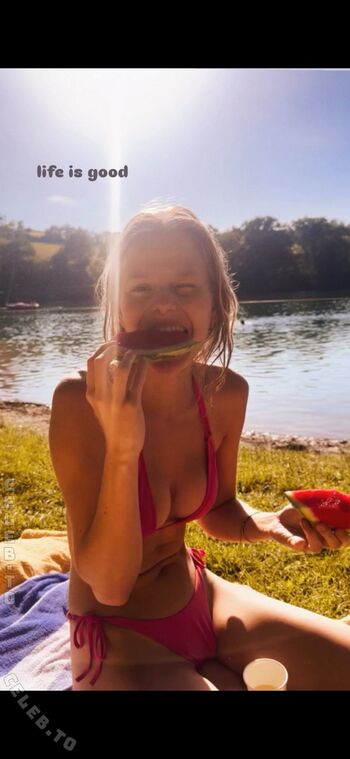 Cerise Bolse