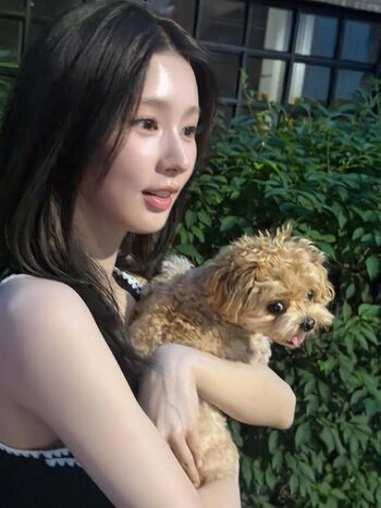 Cho Mi-yeon