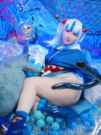 Erokawa Nekomi