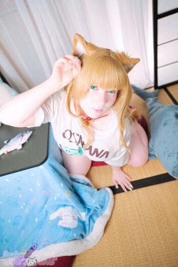 Erokawa Nekomi