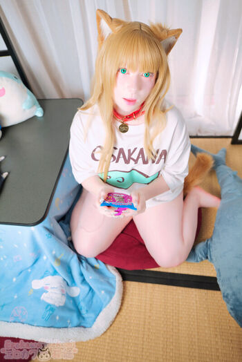Erokawa Nekomi