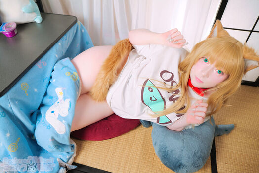 Erokawa Nekomi