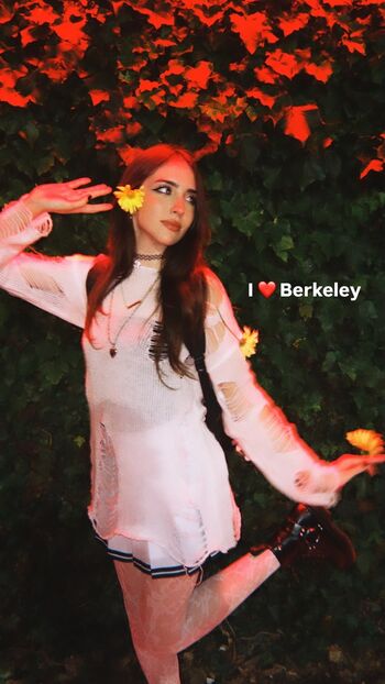 Gabriela bee