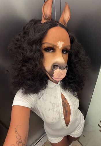 HorsegiirL