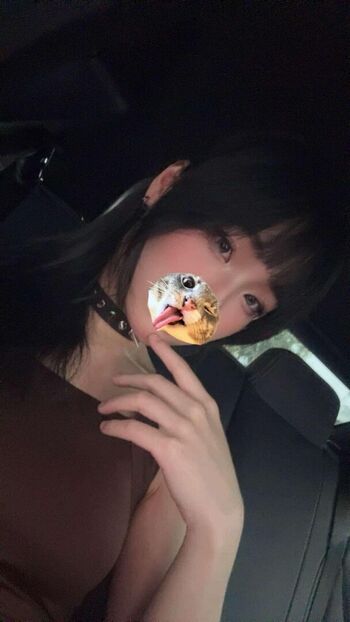 Kitsune