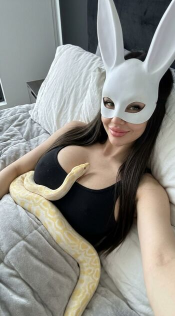 maskyrabbit