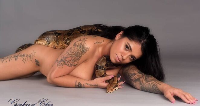 Mikayla Dabash