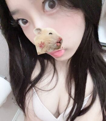 minakokomi