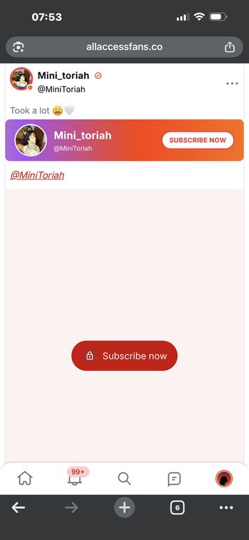 Mini_toriah