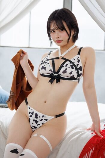 poyodaifukuya
