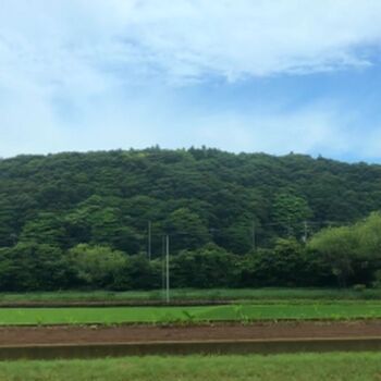 Full leaked Rio fujisawa private onlyfans photo