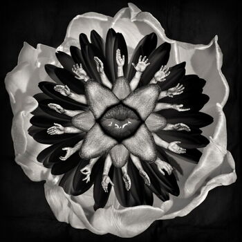 Sexyflower