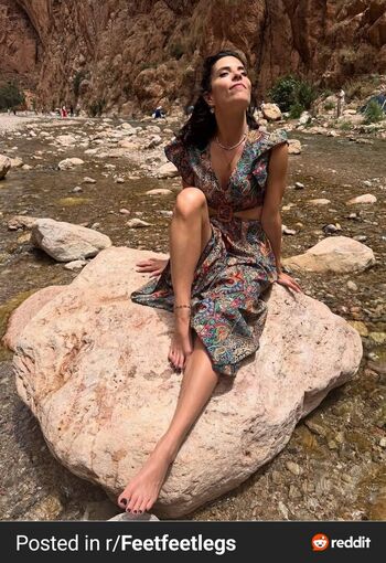 Stella Falchi