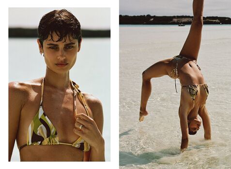 Taylor Hill