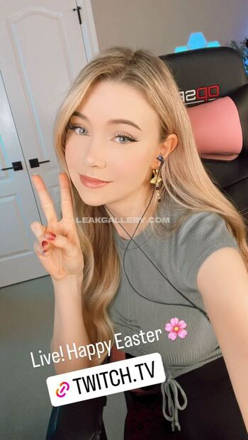 thedizzykitten