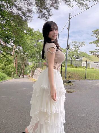 Towa Rabbit
