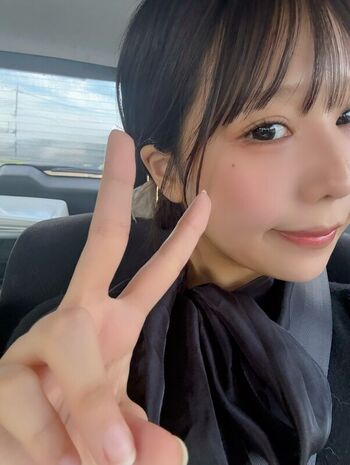 Towa Rabbit