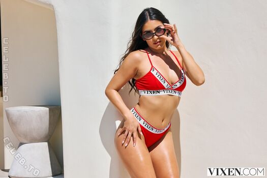 Vixen