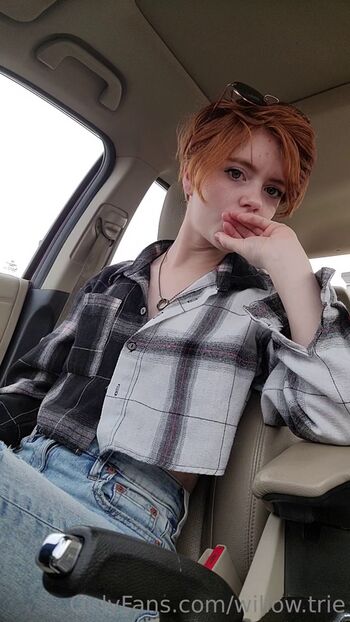 Willow.Trie